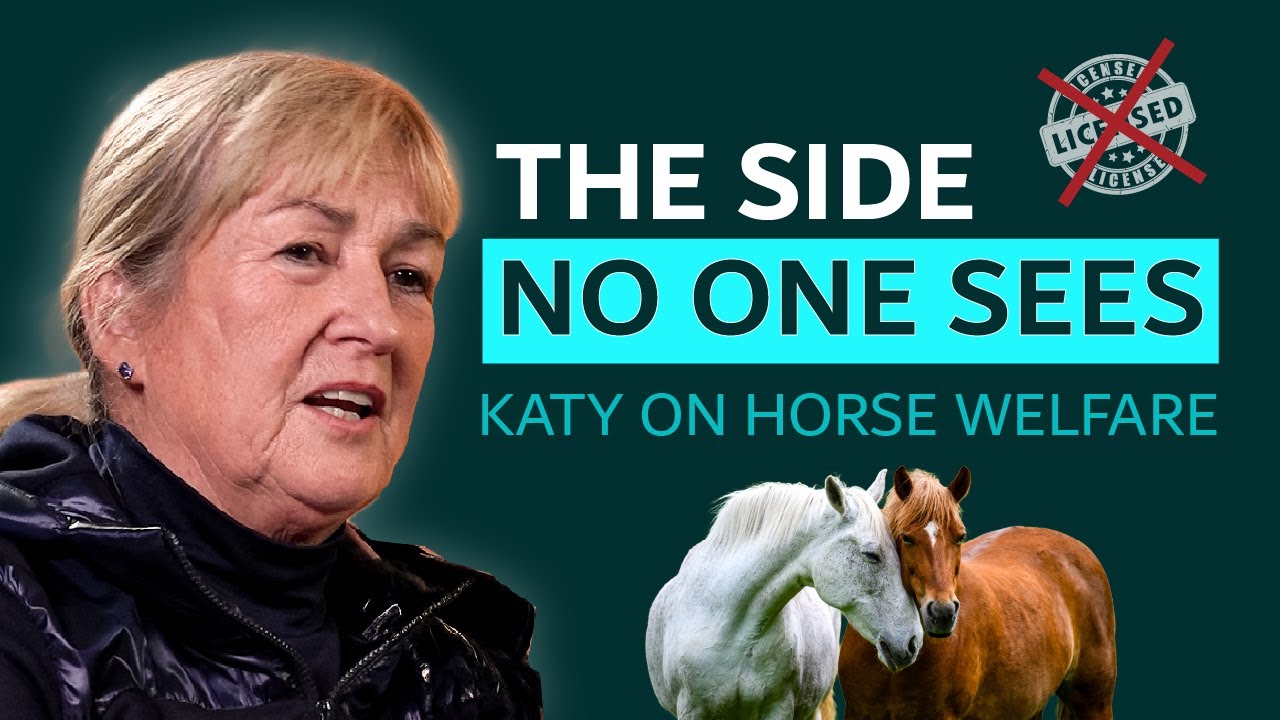 Why Does No one See This Side of Horse Welfare?