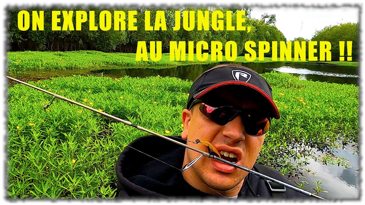 BROCHET / et PERCHE c'est la JUNGLE