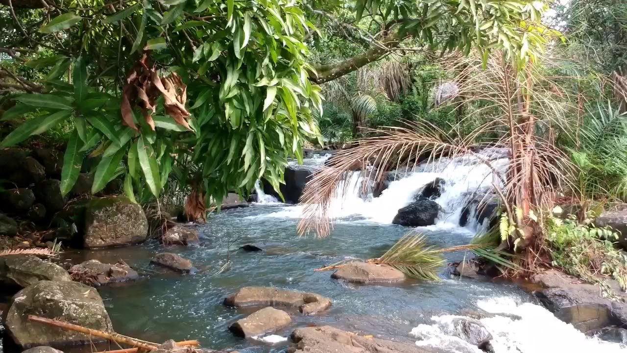 Cascade Deep River - Hidden Mauritius #5