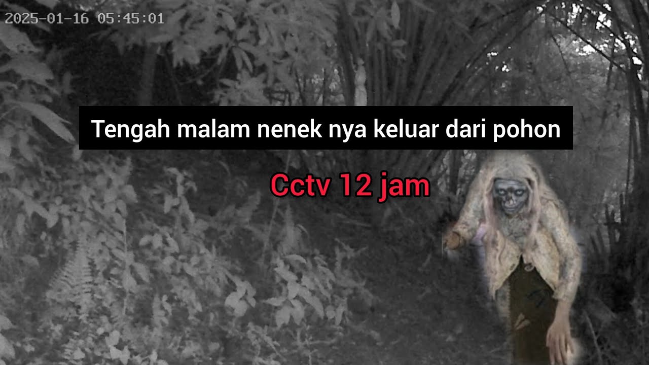 Eksperimen cctv 12 jam ada penampakan nenek tua keluar dari pohon || cctv horor