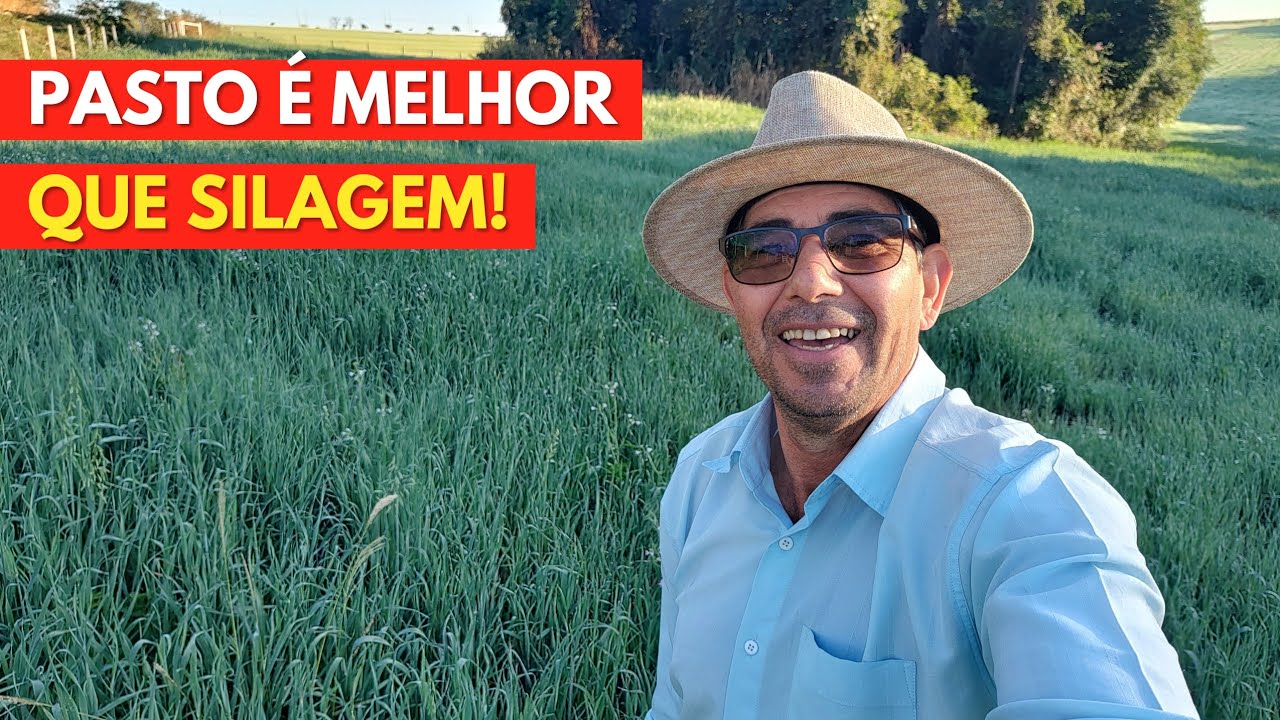 Isso AUMENTA Até 3 Litros de Leite Por Dia, Sem Gastar Muito!