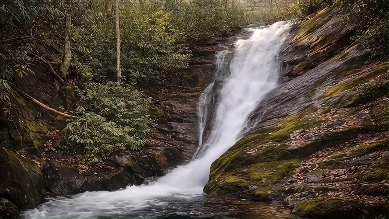 Cody Falls 8 Hours • Waterfall Sounds for Sleep, Study & Relaxation • North Carolina Nature