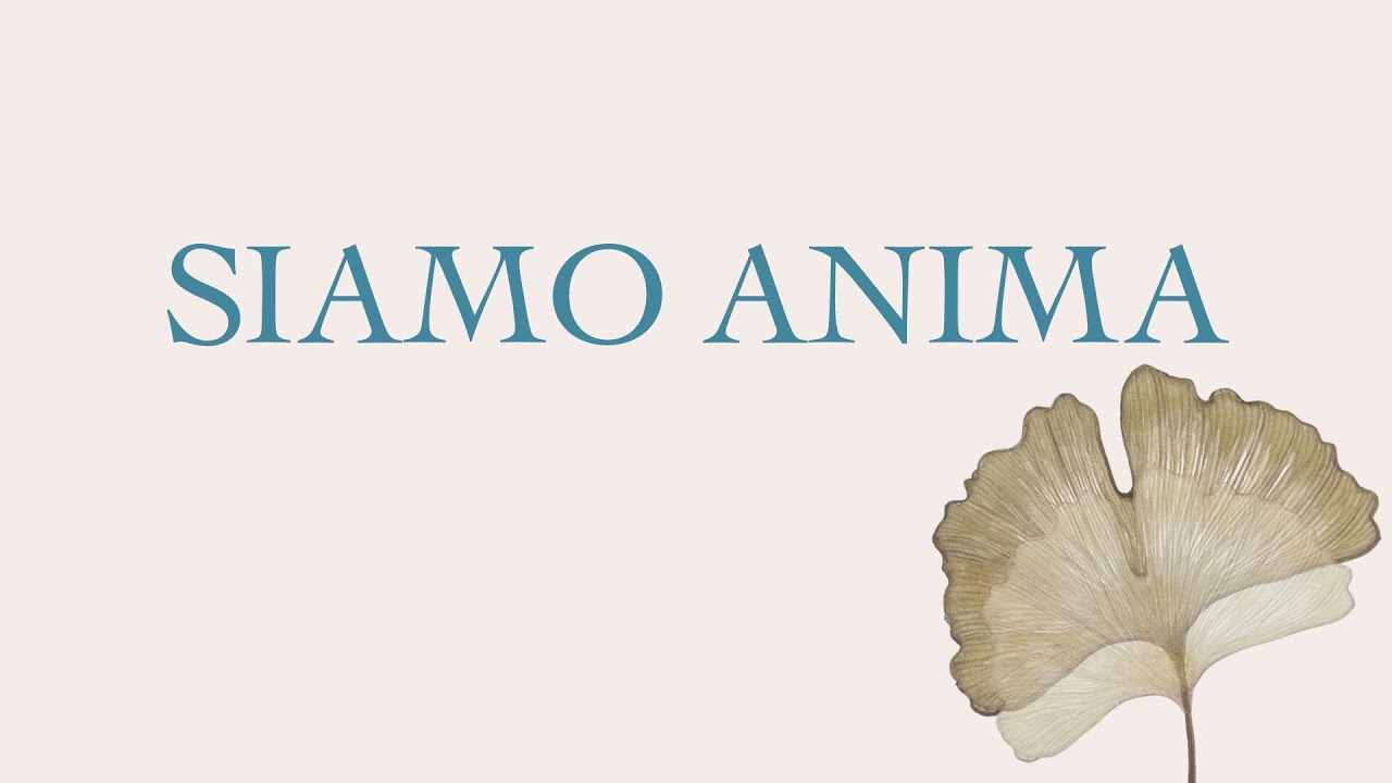 Presentazione libro - Siamo Anima