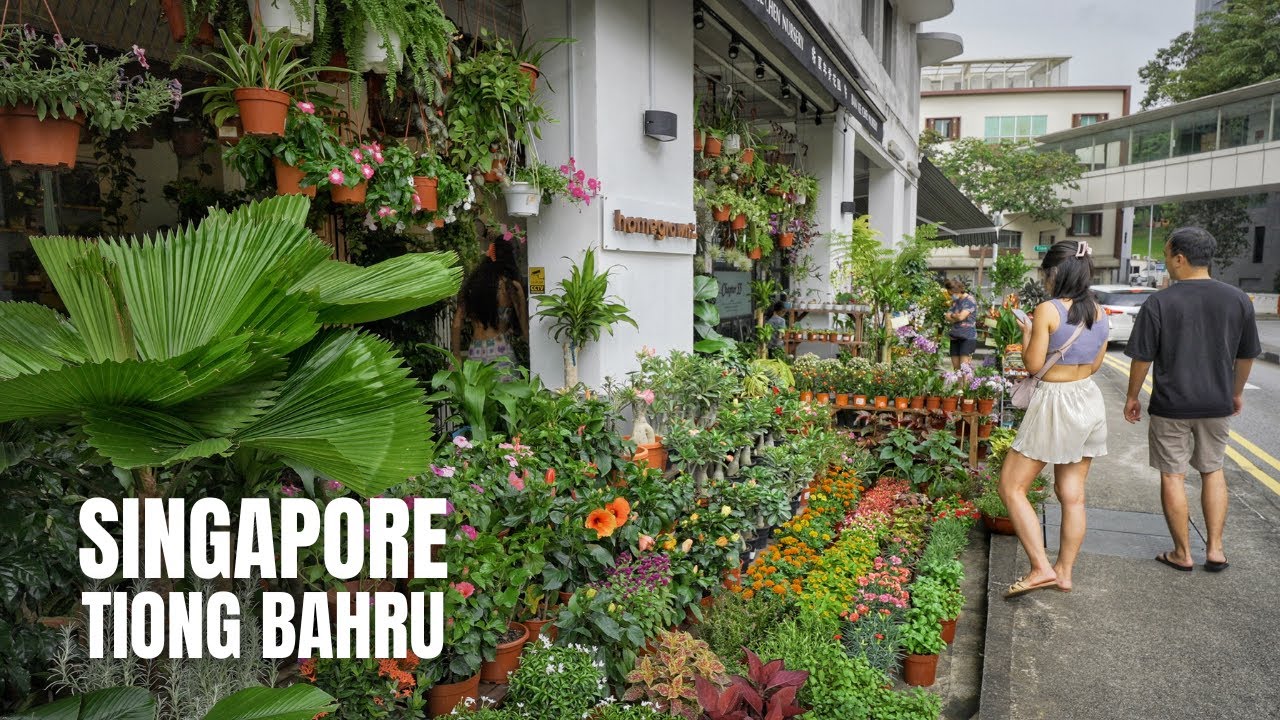 Singapore City: Oldest Residential Housing Estate in Singapore (4K HDR)