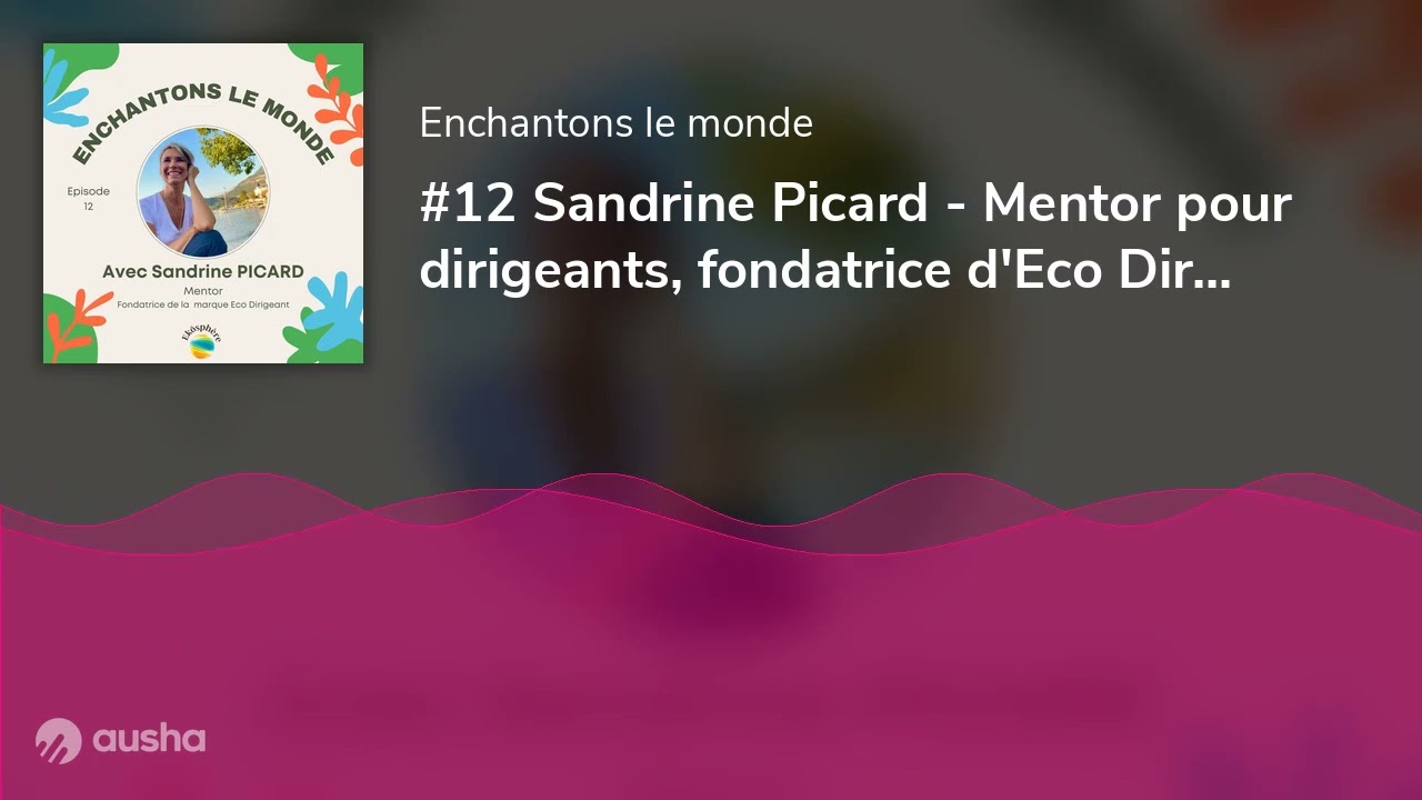 #12 Sandrine Picard - Mentor pour dirigeants, fondatrice d'Eco Dirigeant