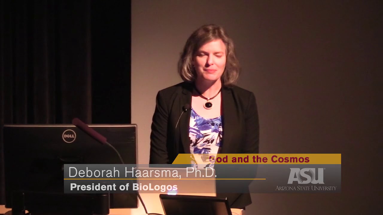 God and the Cosmos | Paul Gabor & Deborah Haarsma