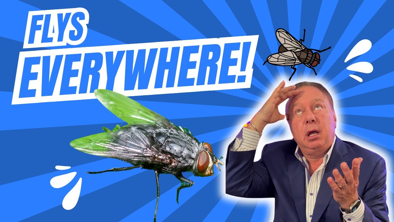 Why Are There So Many Flies in Your House? The Shocking Backyard Connection