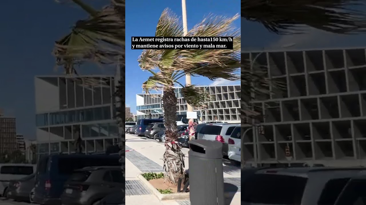 La borrasca Nils sacude Mallorca: la Aemet registra rachas de hasta150 km/h