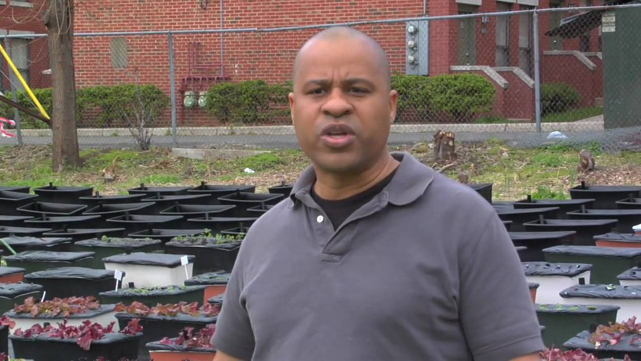 Brick City Urban Farms (part 1)