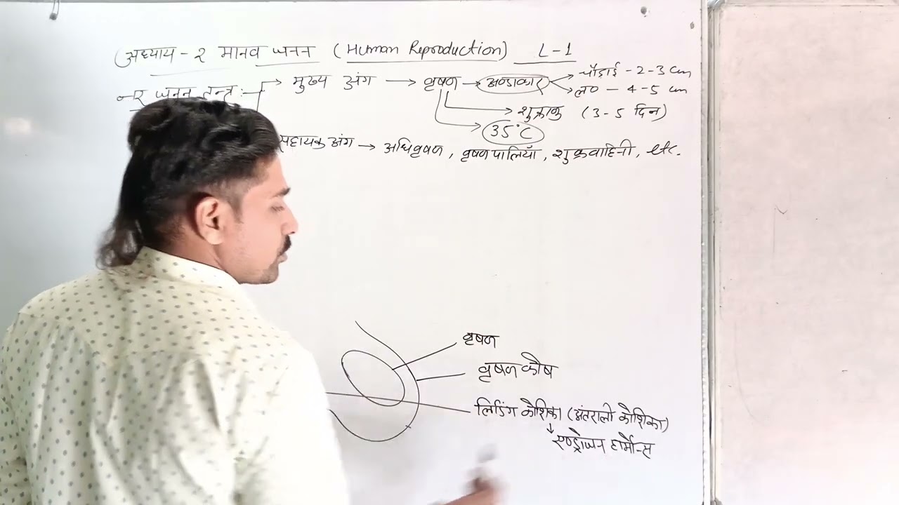 Class 12 biology chapter2 मानव जनन(Human Reproduction)important questions #upboard2026 #class12exam 