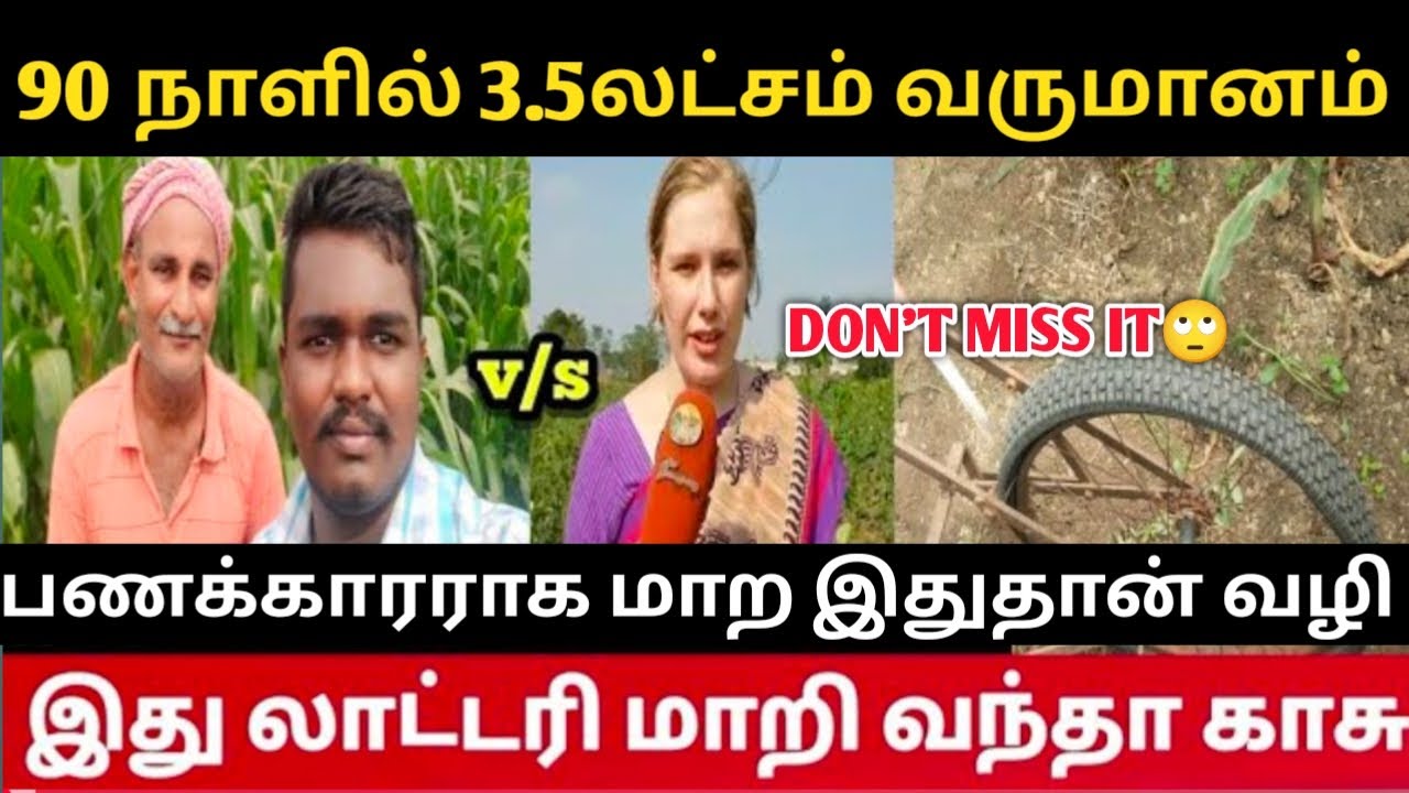 💫1 ஏக்கர் 35 குண்டால் மக்காசோளம் சாகுபடி முழு வழிகாட்டி | விவசாயிகளுக்கான முக்கிய குறிப்புகள் | 