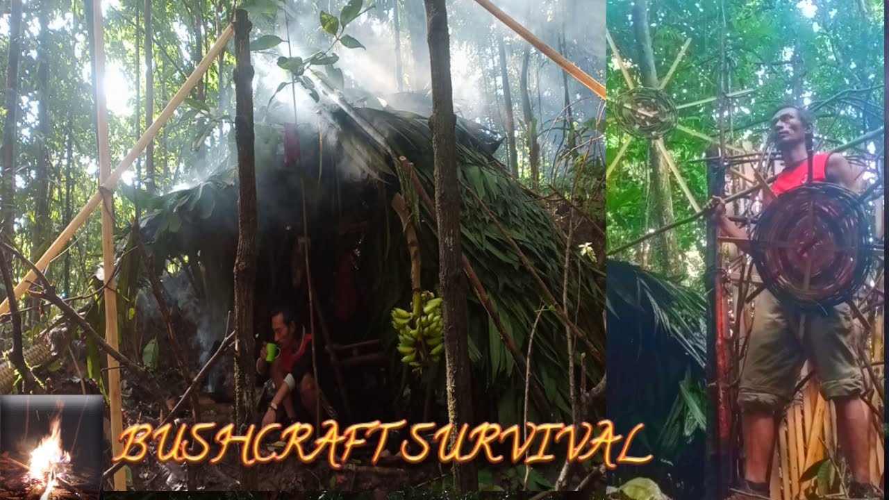 SURVIVING IN THE LOTS OF RAIN, BUILDING THE SHELTER OF THE SWORD, RAIN BUSHCRAFT