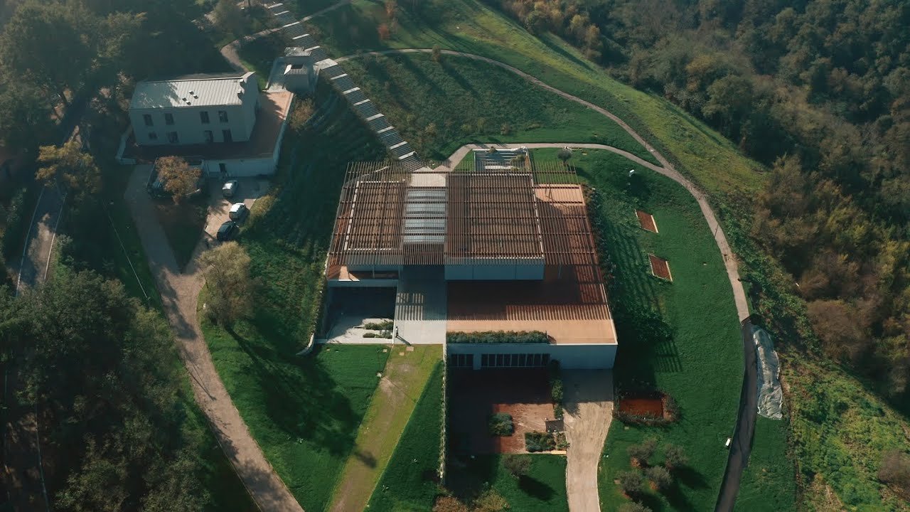 Bologna Business School - Ing Ferrari S.p.A.