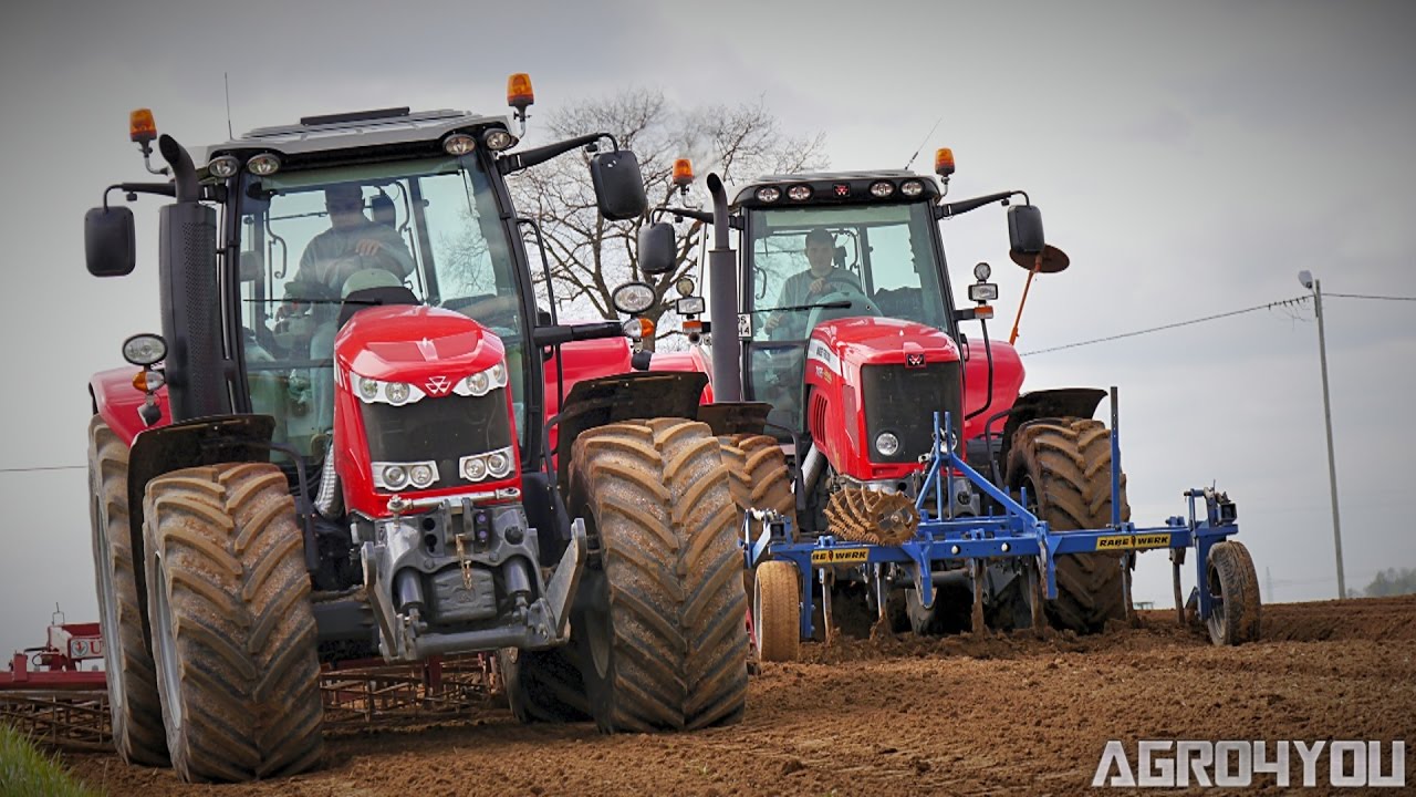 Sadzenie Ziemniaków na większą skalę [GoPro4] 4x Massey Ferguson Grimme Struik Cat Potato Planting