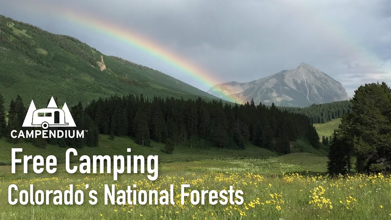 Free Camping in Colorado&rsquo;s National Forests