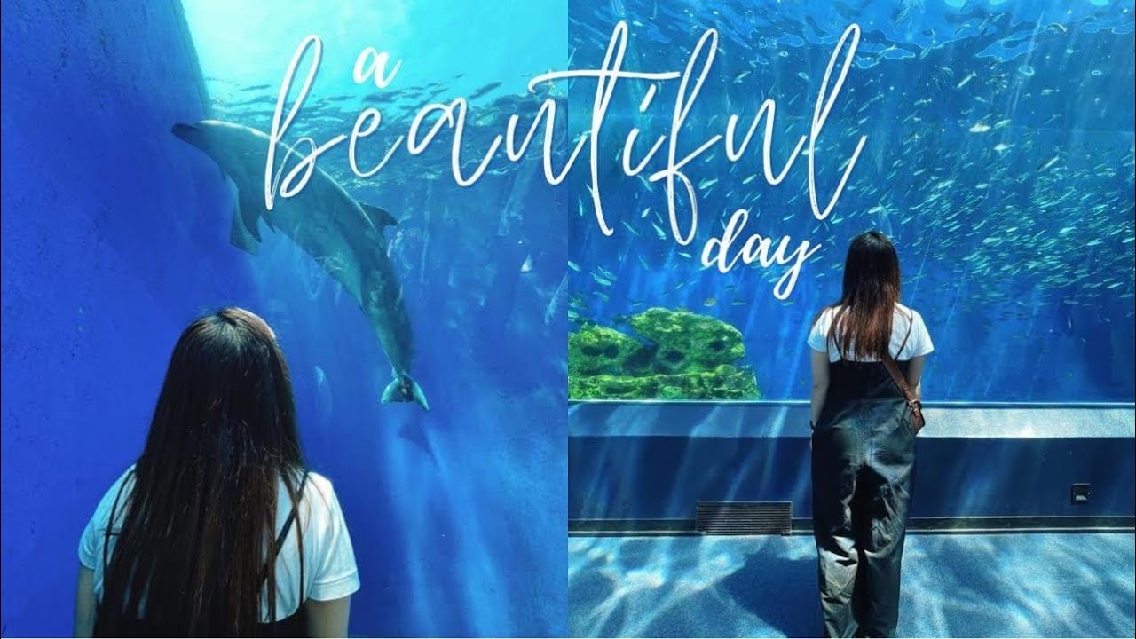 Life in Japan 🎌: Yokohama Hakkeijima Sea Paradise 🐬🐧🐠🐢❤️☺️