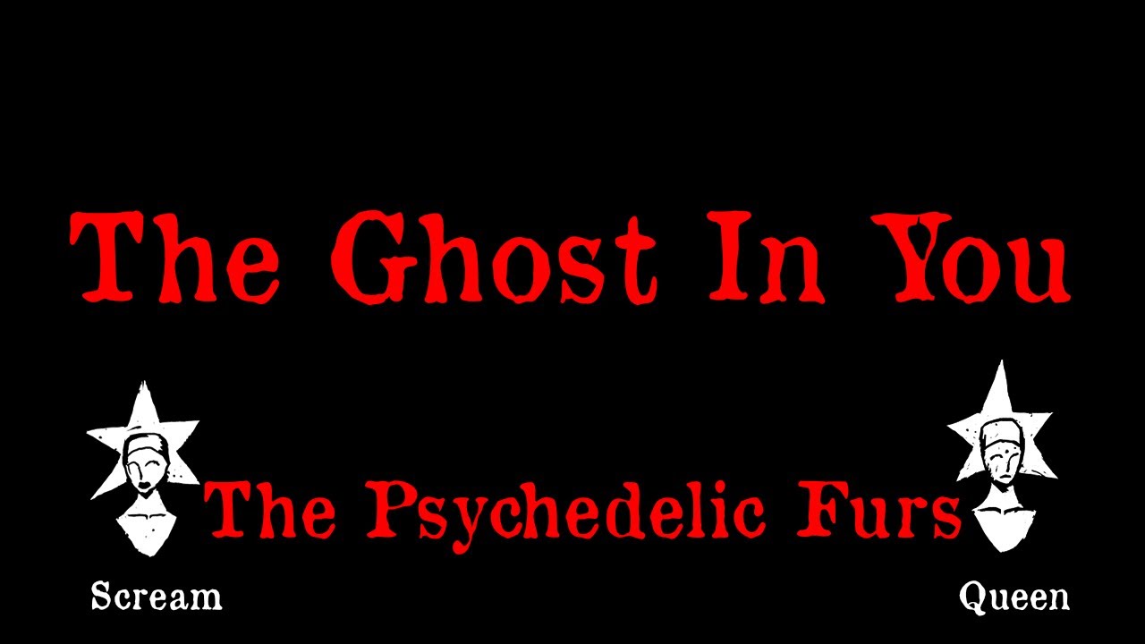 The Psychedelic Furs - The Ghost In You - Karaoke