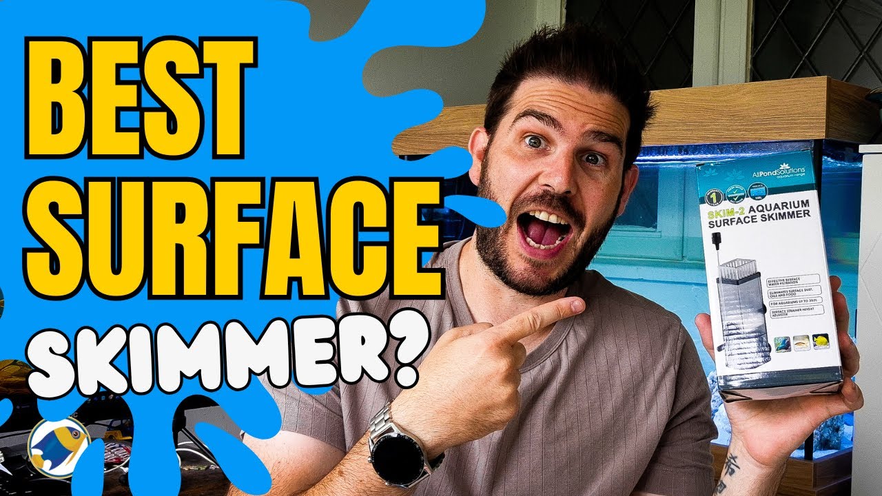 Best Skimmer on the Market? All Pond Solutions Surface Skimmer Review