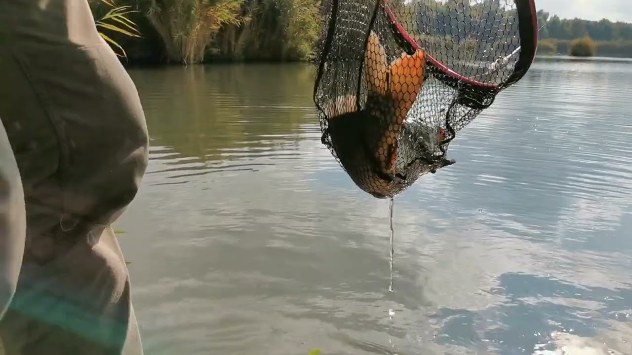 Eco horgászat - Pecázzunk együtt - Versenyre készülés