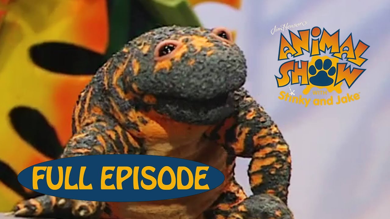 Animal Show | Gila Monster 🦎 / Kanagroo Rat (Desert Rat) | Jim Henson Family Hub