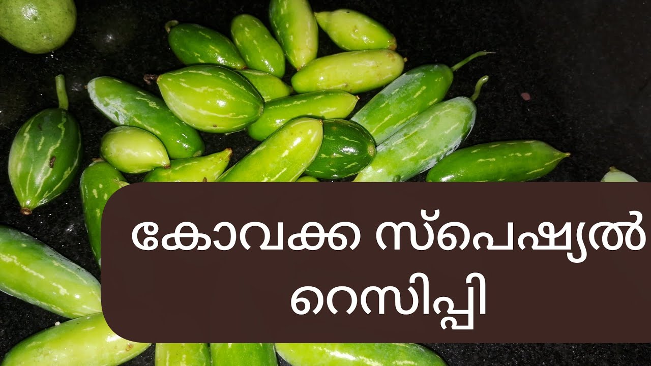 village style recipe with ivygourd |keralahousewife vlog 