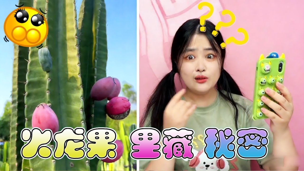 火龍果裡藏秘密？切開瞬間出現 「水晶火龍果」！裡面還有超萌小火龍幼崽搖頭晃腦！ 【鳳梨姊姊手工坊】