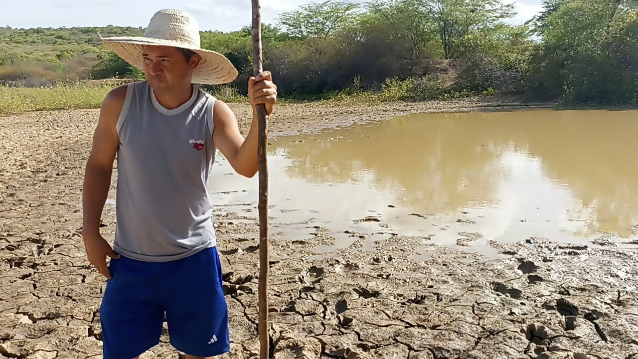 A luta pela sobrevivência dos animais aqui no sertão de Pernambuco/ Sítio Mamoeiro.
