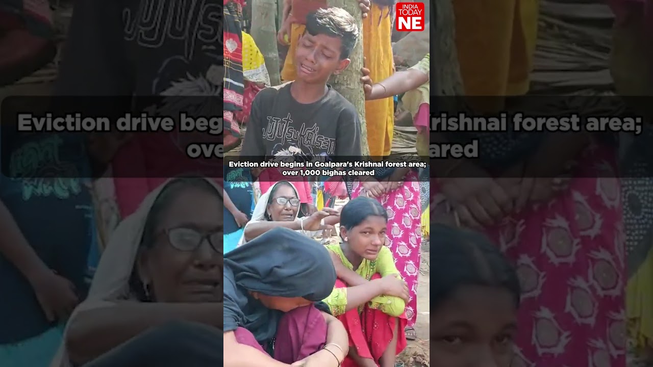 Eviction drive begins in Goalpara's Krishnai forest area; over 1,000 bighas cleared