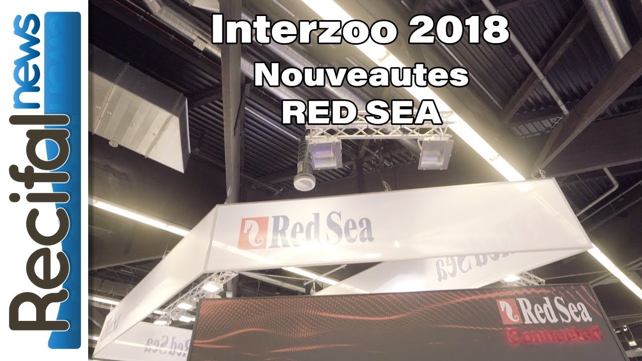 Interzoo 2018 : Red Sea en détails