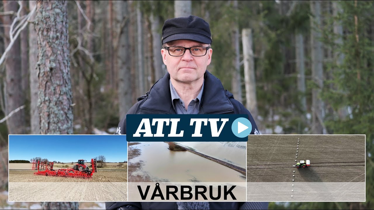 ATL TV: Vattenfyllda fält • Bandtraktor drar stora harven • Ställ in spridaren rätt
