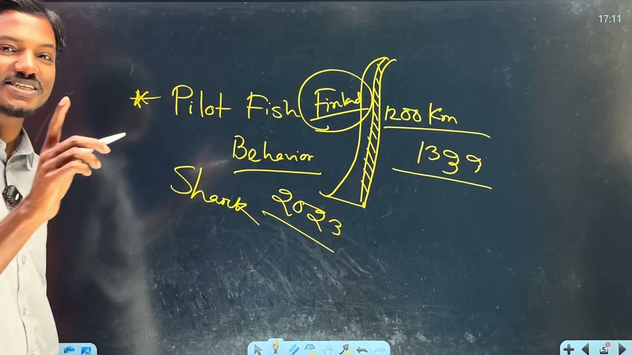 Pilot Fish Behavior Theory Explanation in Bangla