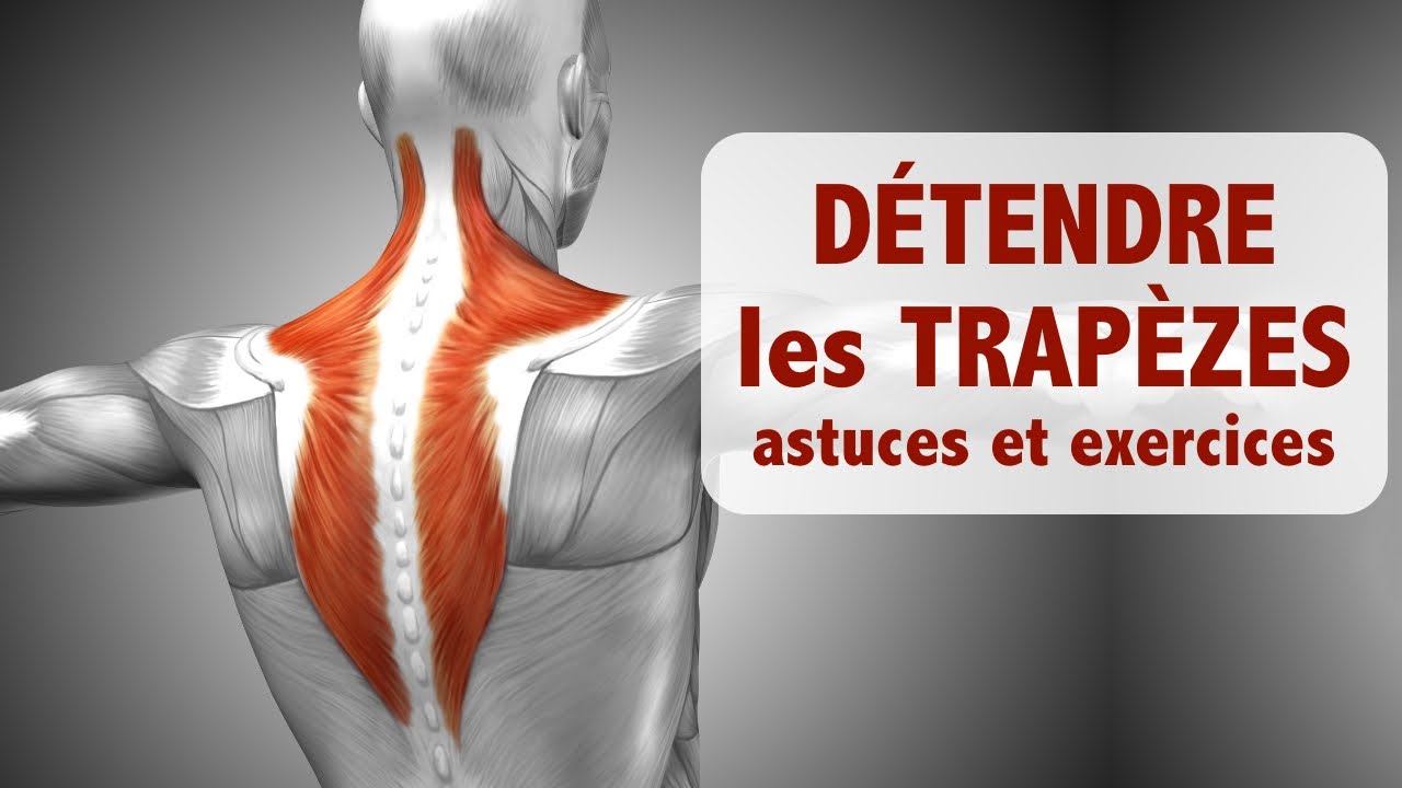 Détendre les trapèzes: astuces et exercices!