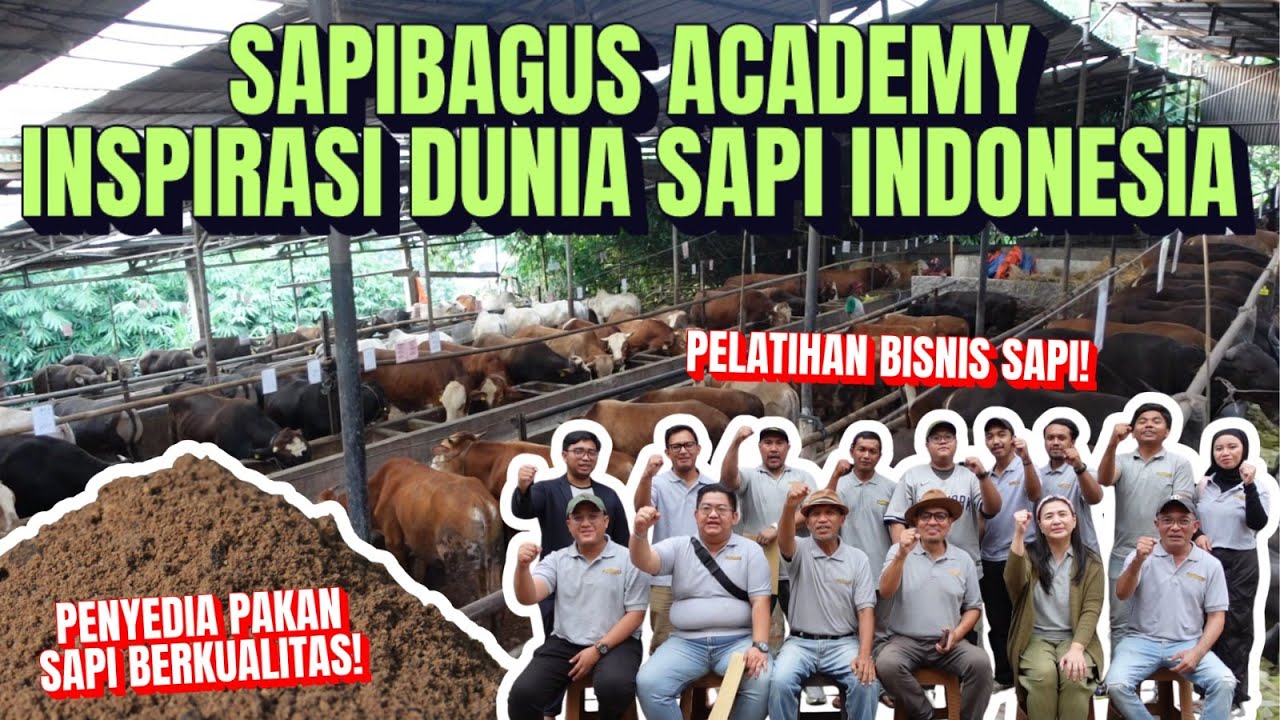 Company Profile Sapibagus Academy