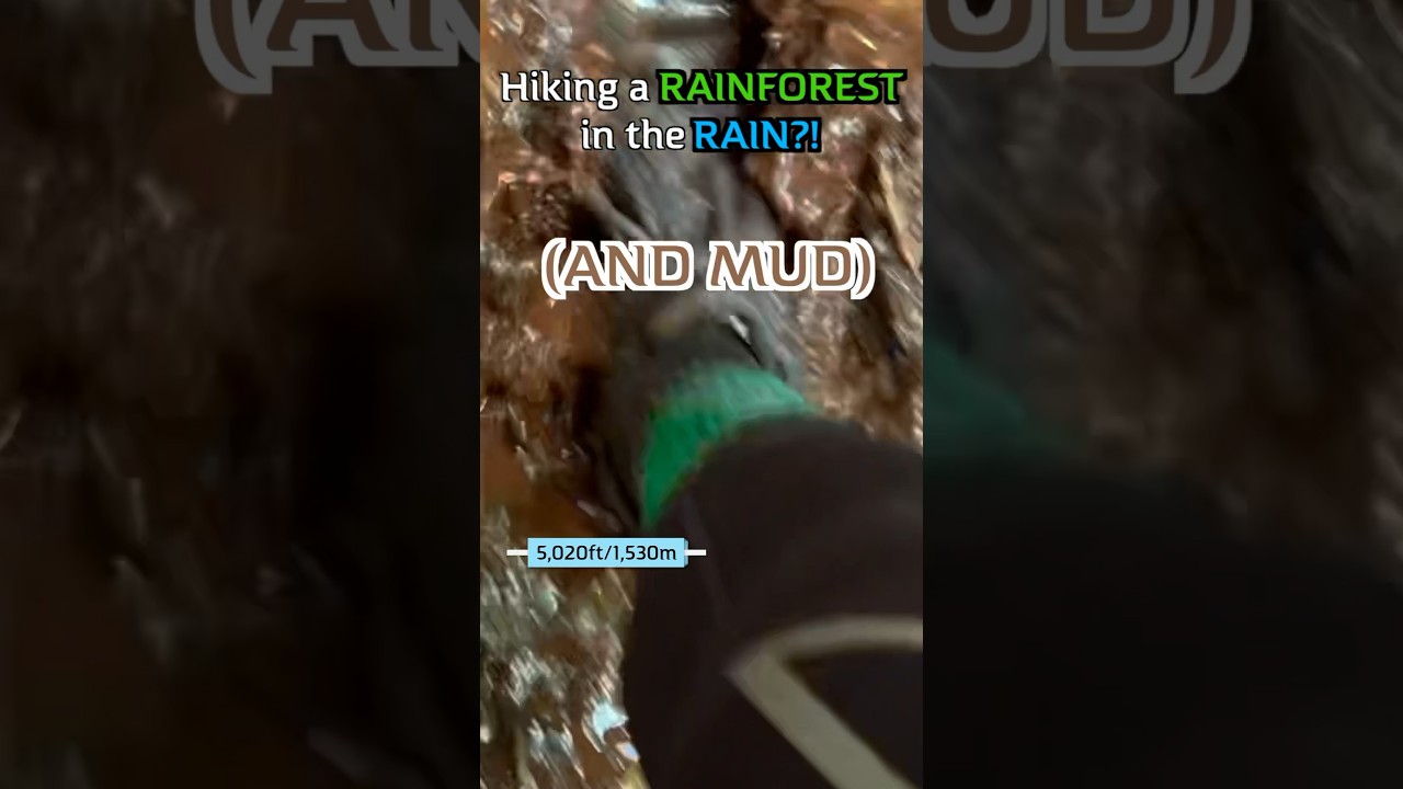 My Feet were SUBMERGED in Muddy Water?!😳 #hike #hiking #hikingadventures #rain #rainy #travelvlog