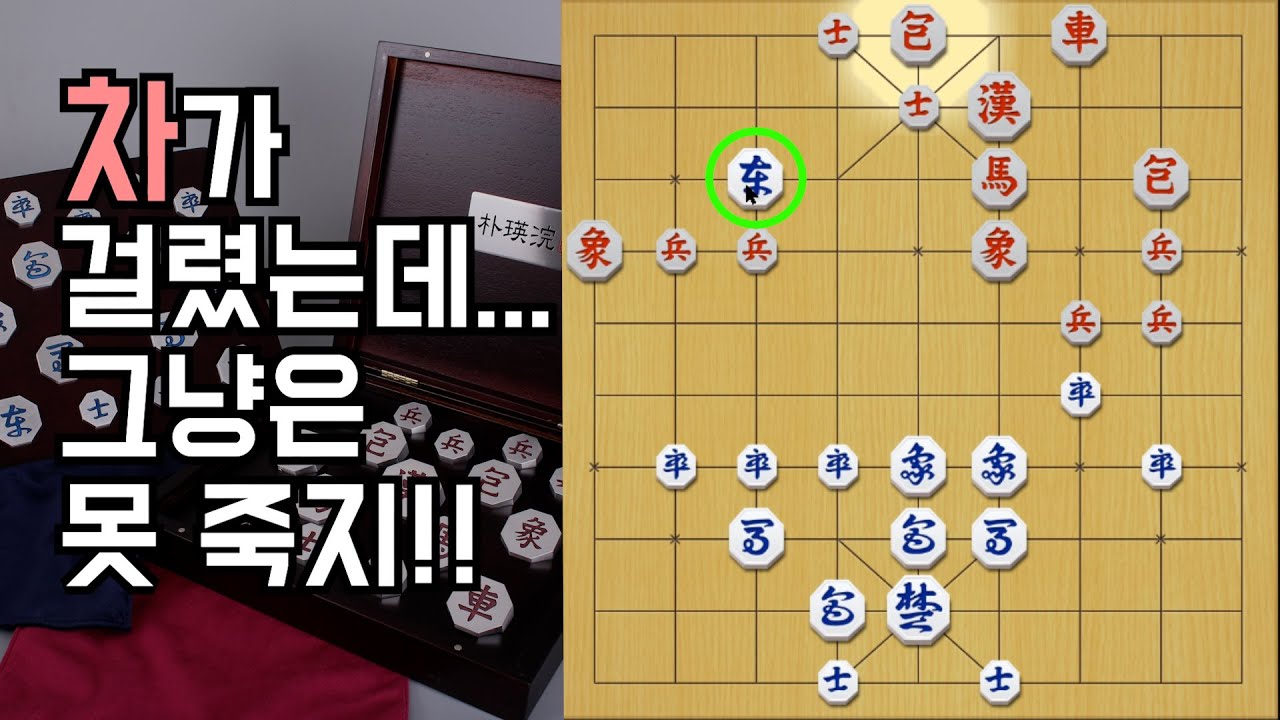 차 한대 주고 적진을 초토화 시켰습니다