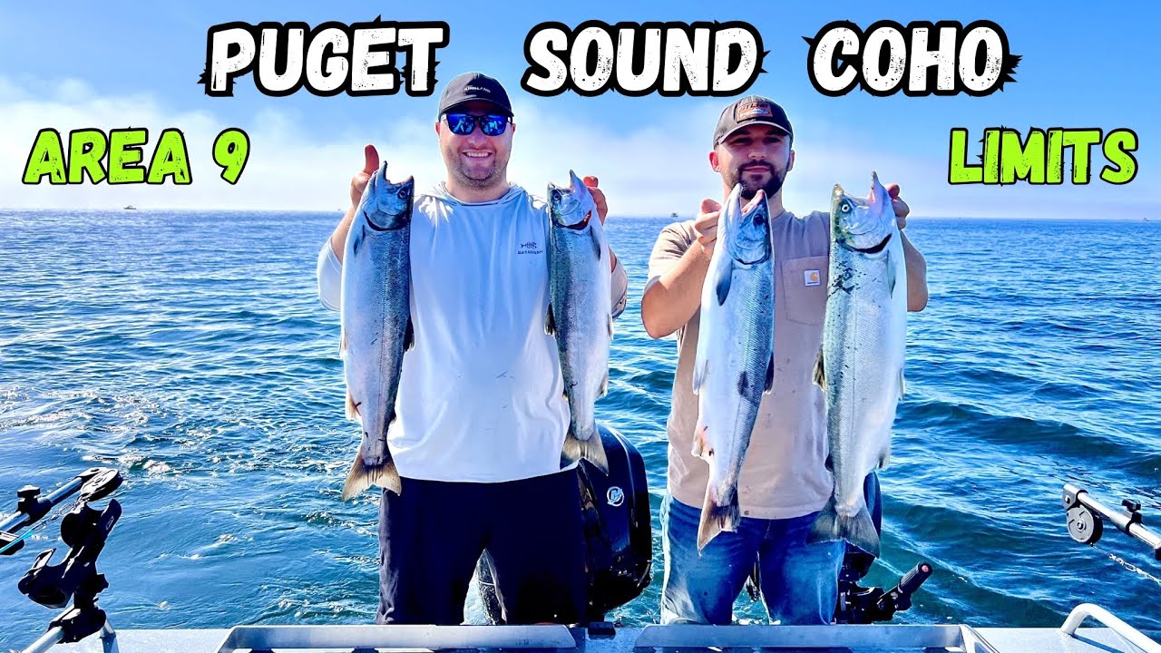 PUGET SOUND COHO FISHING 2024 (CRAZY ACTION)