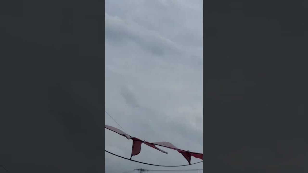 🌈SATISFYING FLYING KITE BIRD SCARER 🦅🌾🌾8🌾#short #japan#asmr