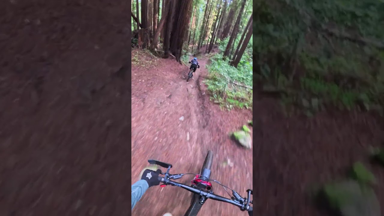 This trail ends on Railroad tracks  #biking #shorts #mtb