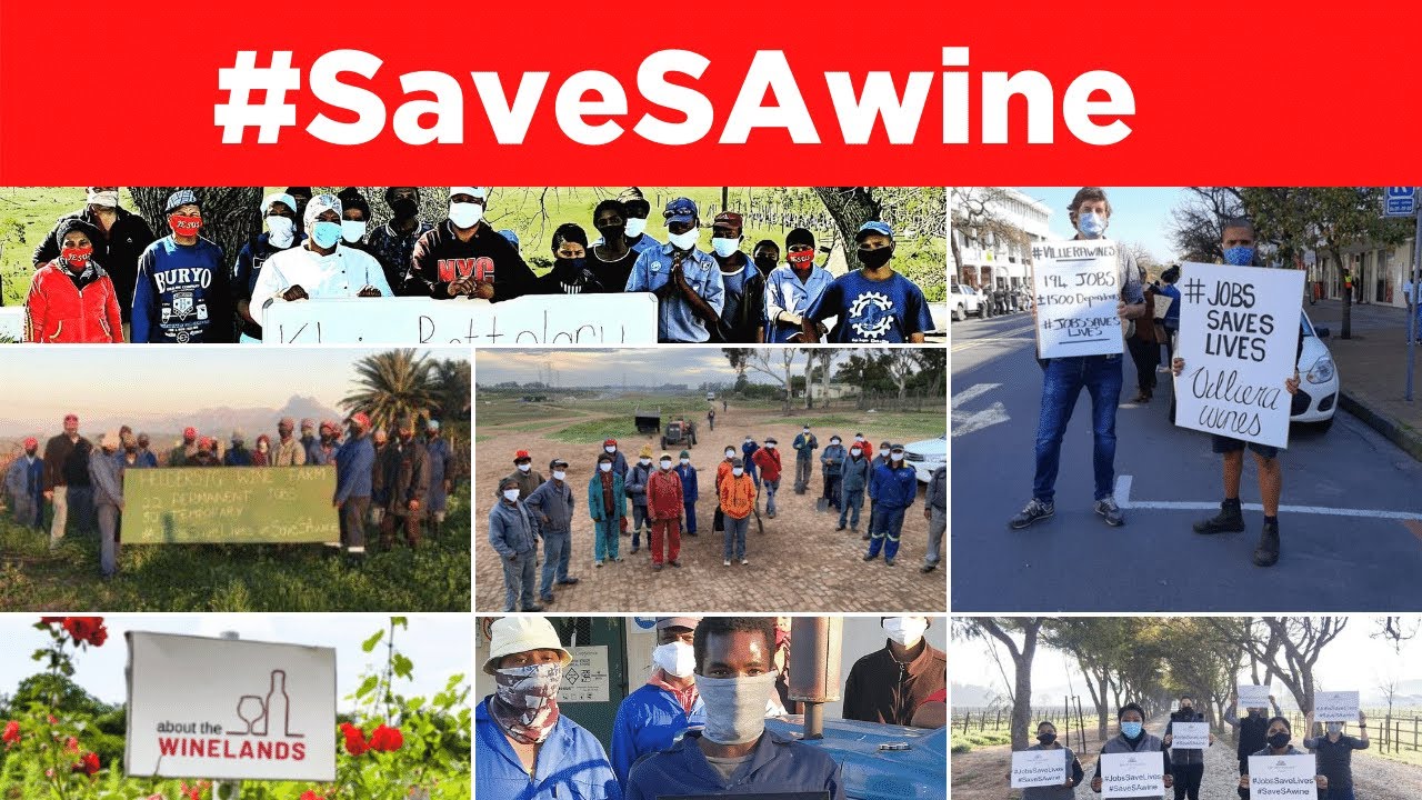 [ SOUTH AFRICAN ALCOHOL BAN ] - 300,000 Jobs at risk in the Wine Industry. Is yours safe?