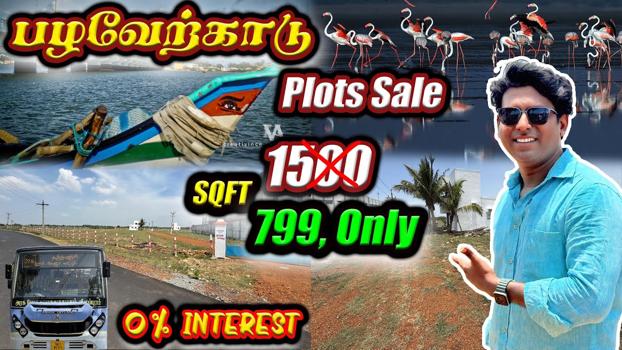 799,Rs Pazhavarkadu  Plots In chennai Pazhaverkadu Low Bugdet Land sale  #chennaiplots ponneri