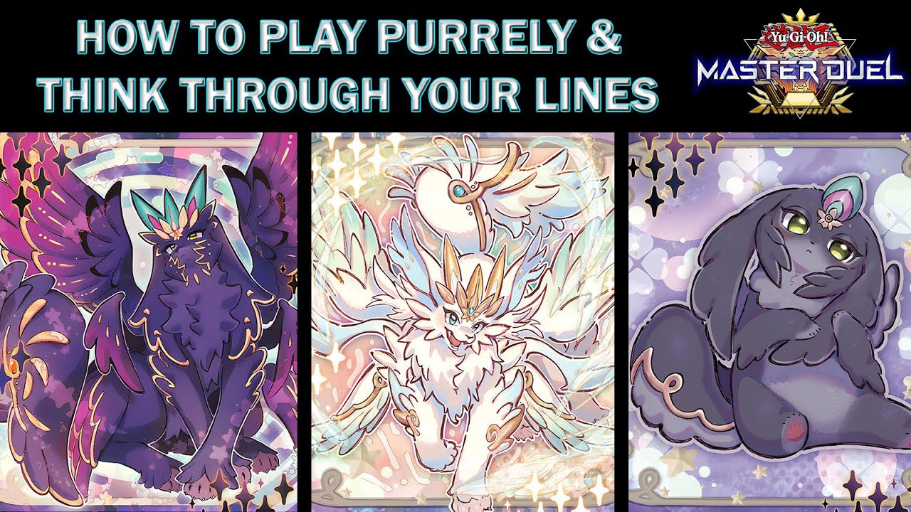 HOW TO PLAY PURRLEY - COMBO LINES & HOW TO PLAY FOR ADVANTAGE - Master Duel Season 21
