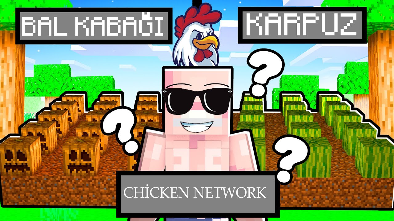 ChickenSMP'de YENİ EN VERİMLİ FARM (HİBRİT FARMI) - chicken network​