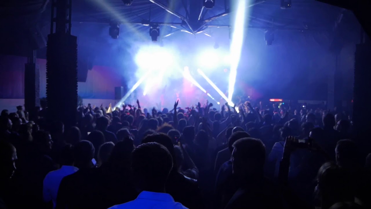 D 33