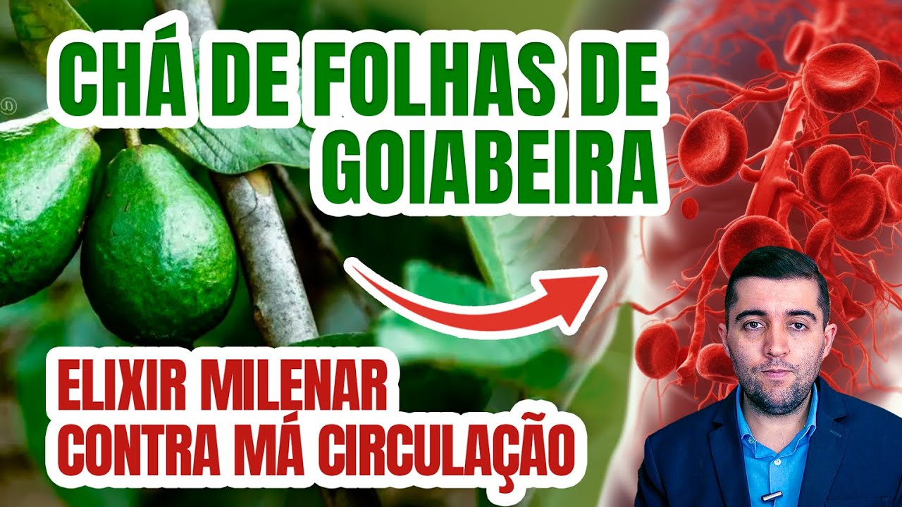 Solução natural para circulação perfeita: o poder do chá da folha de goiabeira para limpar o sangue!