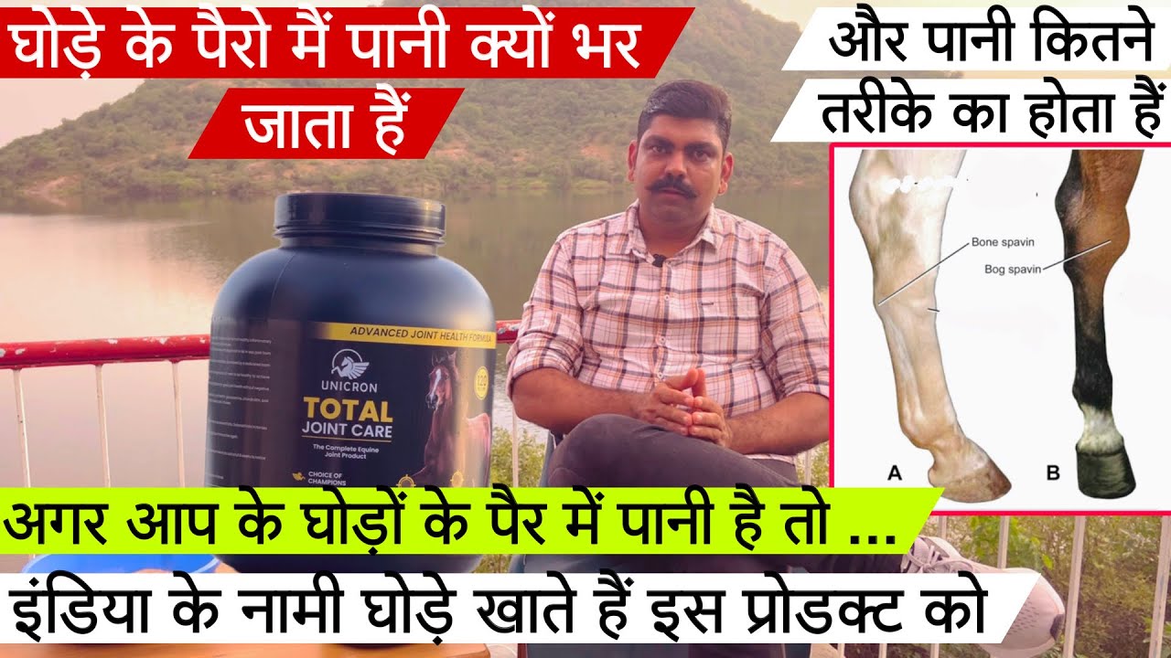 घोड़ों के पैर में पानी क्यों भर जाता हैं ये पानी कितने तरीके का होता हैं जानिए ! (9023435136)