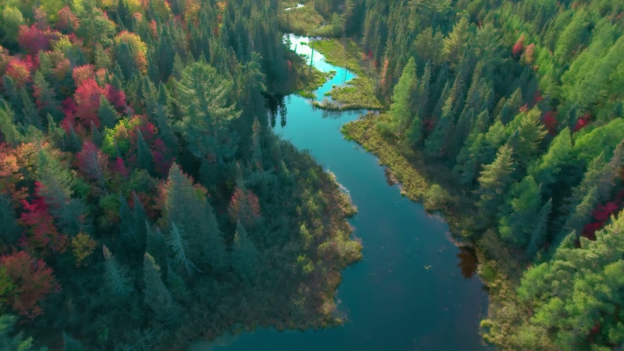 Flight Over The Salmon Trout River Yellow Dog Huron Mountains Upper Peninsula Michigan Nature