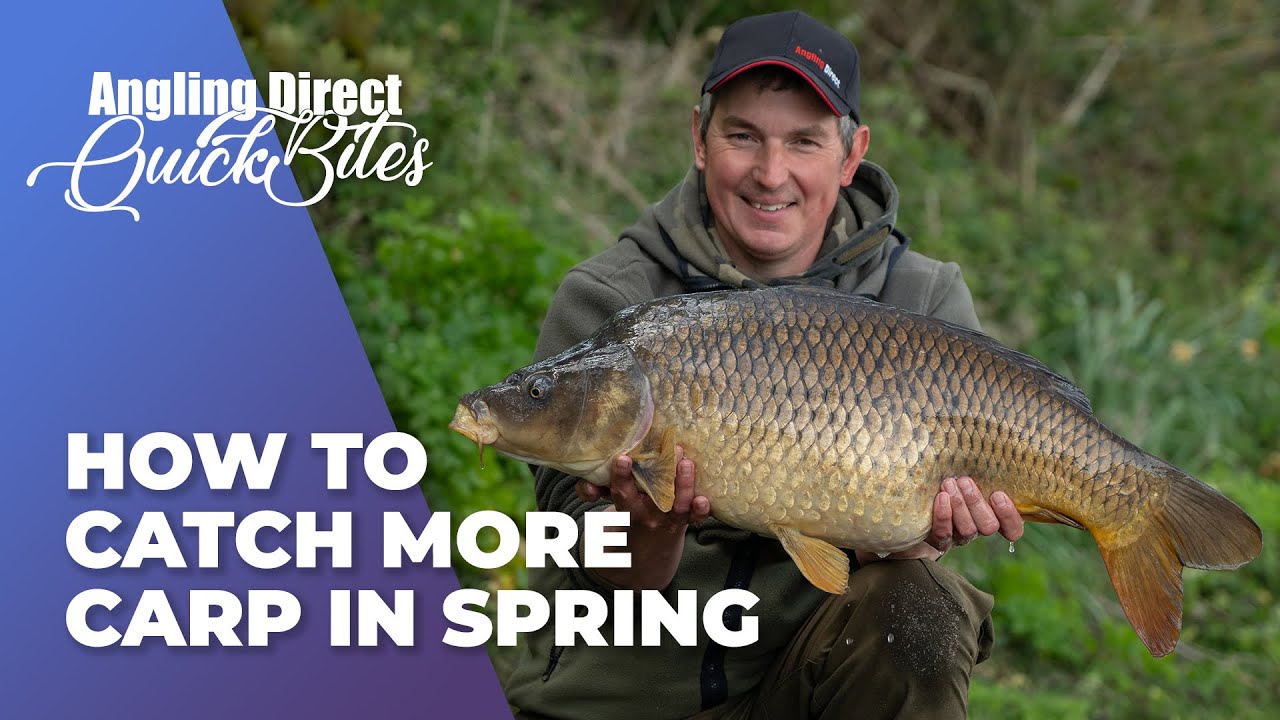 How To Catch More Carp In Spring - Carp Fishing Quickbite