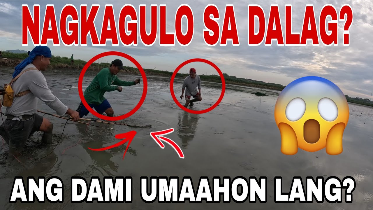 Naglalakihang dalag umaahon at biglang nagagawan?