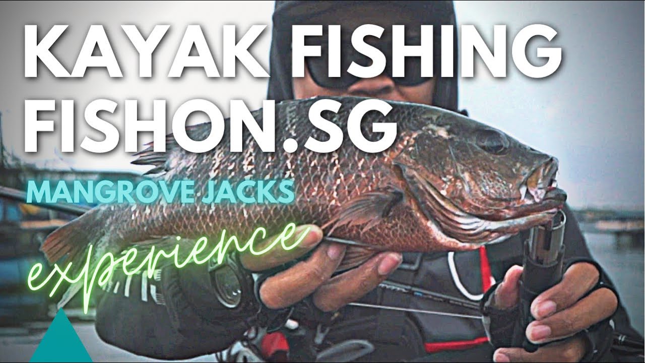 My First Mangrove Jack! | FishOn.sg Kayak Experience | Rapala Trailblazer Kaiten | Pasir Ris-Ubin