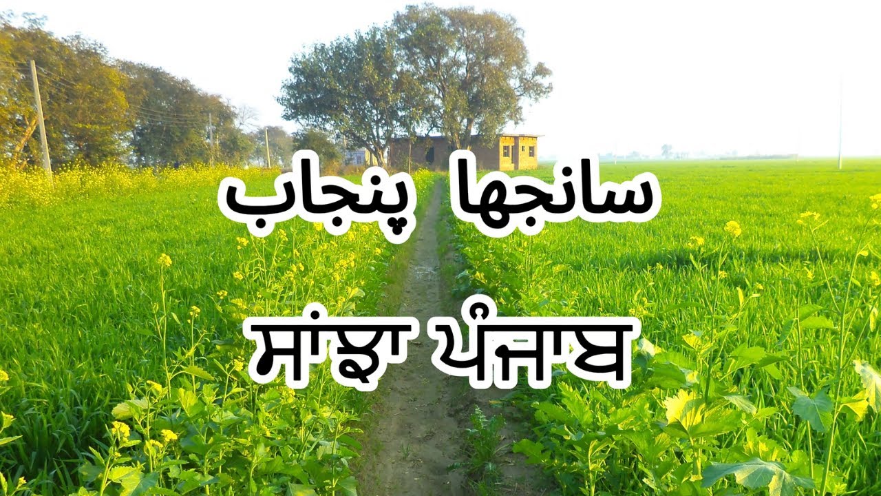 A Shared Punjab: Language, Land & Legacy